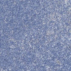 Immunohistochemical staining of human tonsil shows low expression as expected.