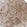 Anti-FXR1 Antibody