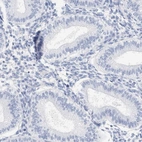 Immunohistochemical staining of human endometrium shows low expression as expected.