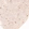 Anti-ADARB1 Antibody