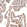 Anti-ADARB1 Antibody