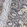 Anti-BCL7C Antibody