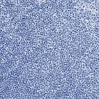 Immunohistochemical staining of human lymph node shows no positivity in non-germinal center cells as expected.
