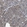 Anti-CDPF1 Antibody