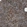 Anti-SLC43A1 Antibody