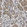 Anti-LDHB Antibody