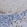 Anti-QKI Antibody