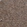 Anti-FAM161B Antibody