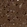 Anti-NUDCD3 Antibody