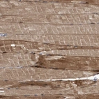 Immunohistochemical staining of human smooth muscle shows low expression as expected.