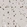 Anti-TBL1XR1 Antibody