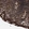 Anti-EPS15L1 Antibody