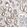 Anti-LRBA Antibody