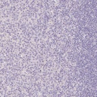Immunohistochemical staining of human tonsil shows low expression as expected.