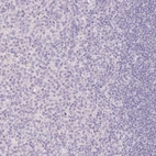 Immunohistochemical staining of human tonsil shows low expression as expected.