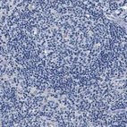 Immunohistochemical staining of human lymph node shows low expression as expected.