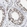 Anti-TPR Antibody