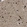 Anti-CDS2 Antibody