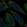 Anti-BLVRA Antibody