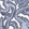 Anti-RINT1 Antibody