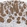 Anti-PPM1L Antibody