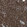 Anti-PPA1 Antibody