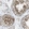 Anti-KLHDC10 Antibody
