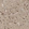 Anti-KLHDC10 Antibody