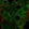 Anti-AGFG2 Antibody