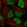Anti-SMARCAL1 Antibody