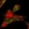 Anti-WDR60 Antibody