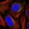 Anti-NSUN7 Antibody