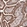 Anti-LMO7 Antibody