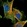 Anti-CPA4 Antibody