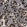 Anti-PASK Antibody