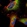 Anti-TRPC1 Antibody