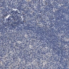Immunohistochemical staining of human lymph node shows low expression as expected.