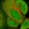 Anti-ZNF276 Antibody