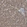 Anti-NQO2 Antibody