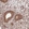 Anti-ADAMTS3 Antibody