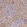 Anti-NPEPPS Antibody