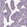 Anti-CFAP157 Antibody