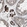 Anti-ELMO3 Antibody