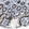 Anti-DUSP19 Antibody