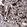 Anti-ING2 Antibody
