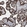 Anti-EZR Antibody