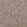 Anti-SGSM2 Antibody