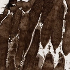 Immunohistochemical staining of human skeletal muscle shows high expression.