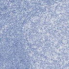 Immunohistochemical staining of human tonsil shows low expression as expected.