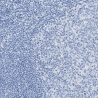 Immunohistochemical staining of human tonsil shows low expression as expected.